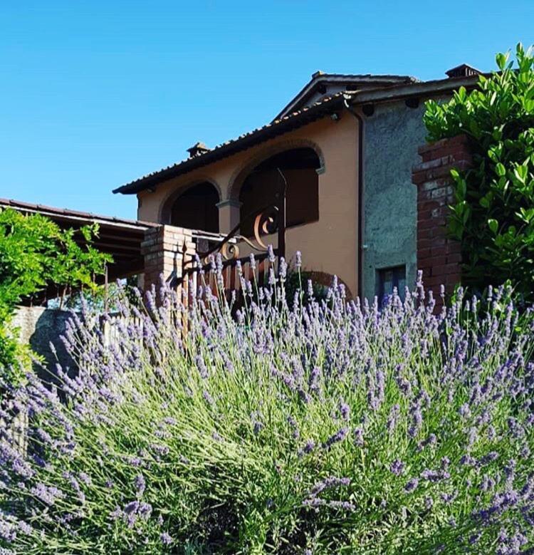 Il Casolare Bed & Breakfast Penna Екстериор снимка