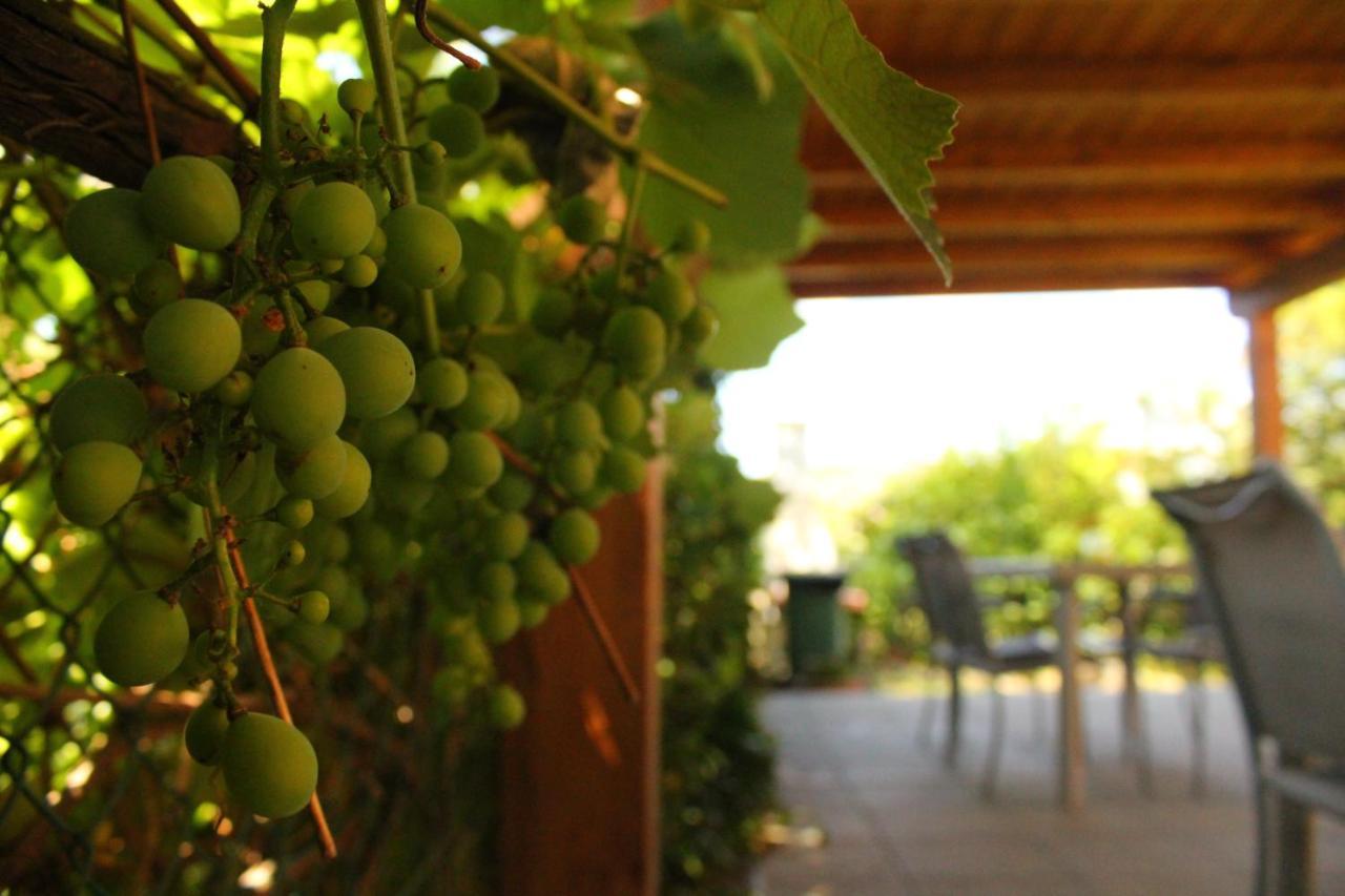 Il Casolare Bed & Breakfast Penna Екстериор снимка