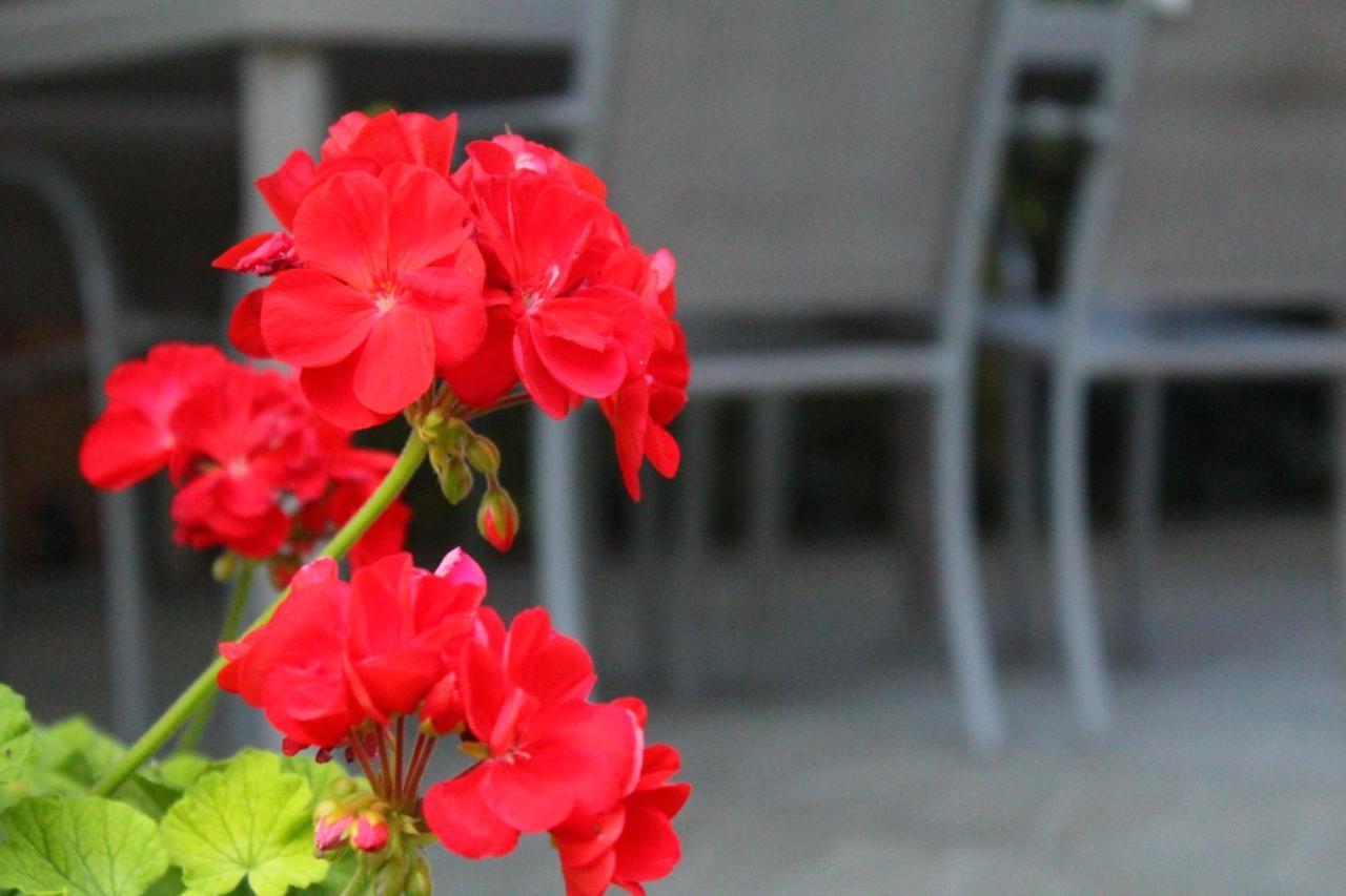 Il Casolare Bed & Breakfast Penna Екстериор снимка